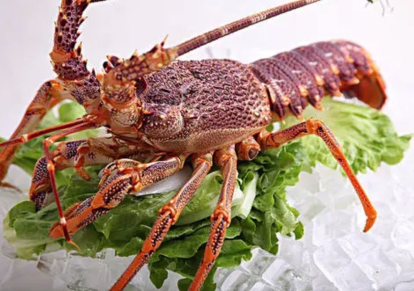 Langouste sautée du Chef